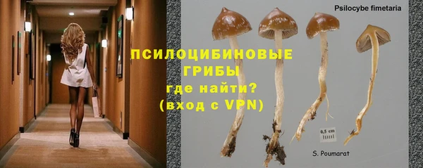 spice Балабаново