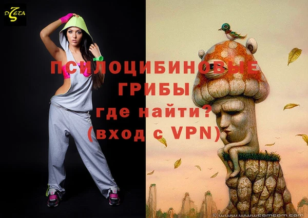 spice Балабаново